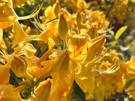 23-06-03 16-39-02 5789